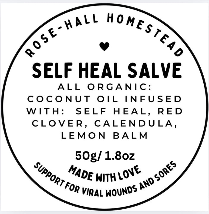 SELF HEAL SALVE