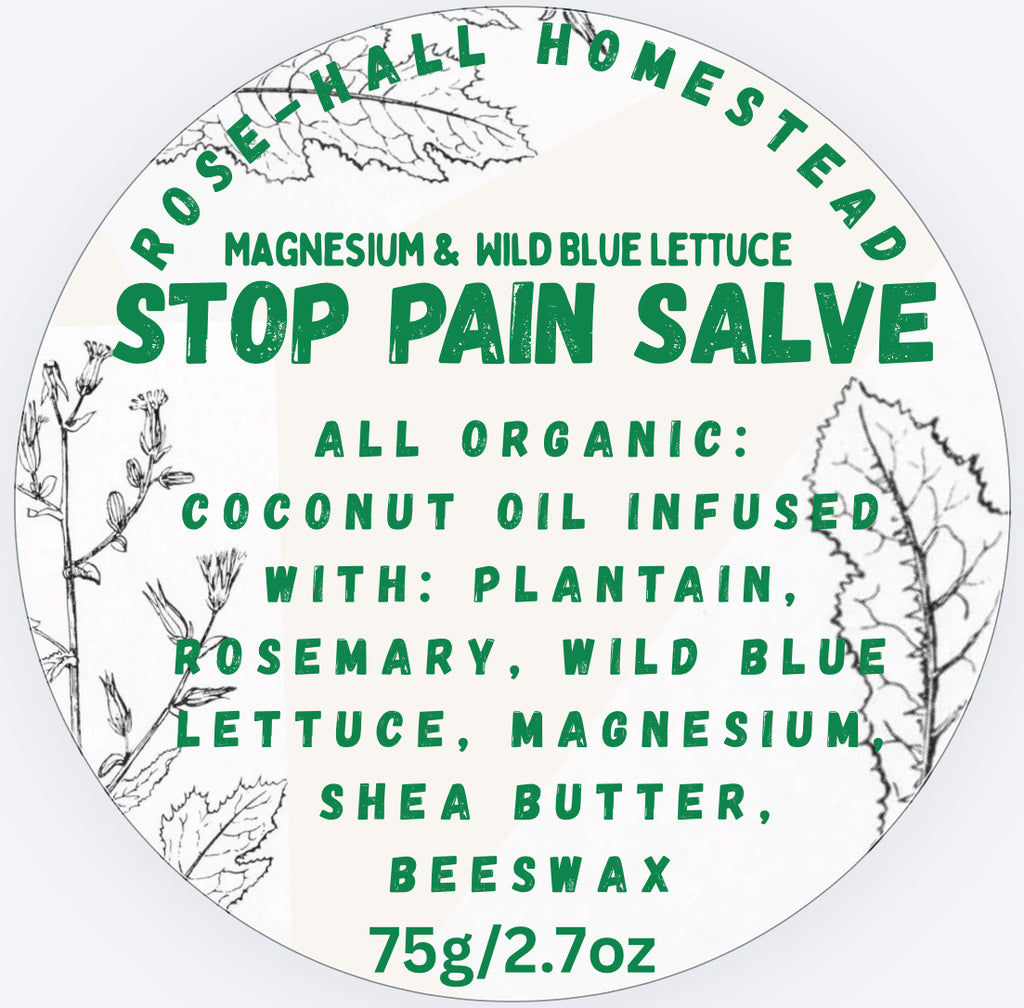 Stop Pain Salve - Magnesium and Wild Blue Lettuce