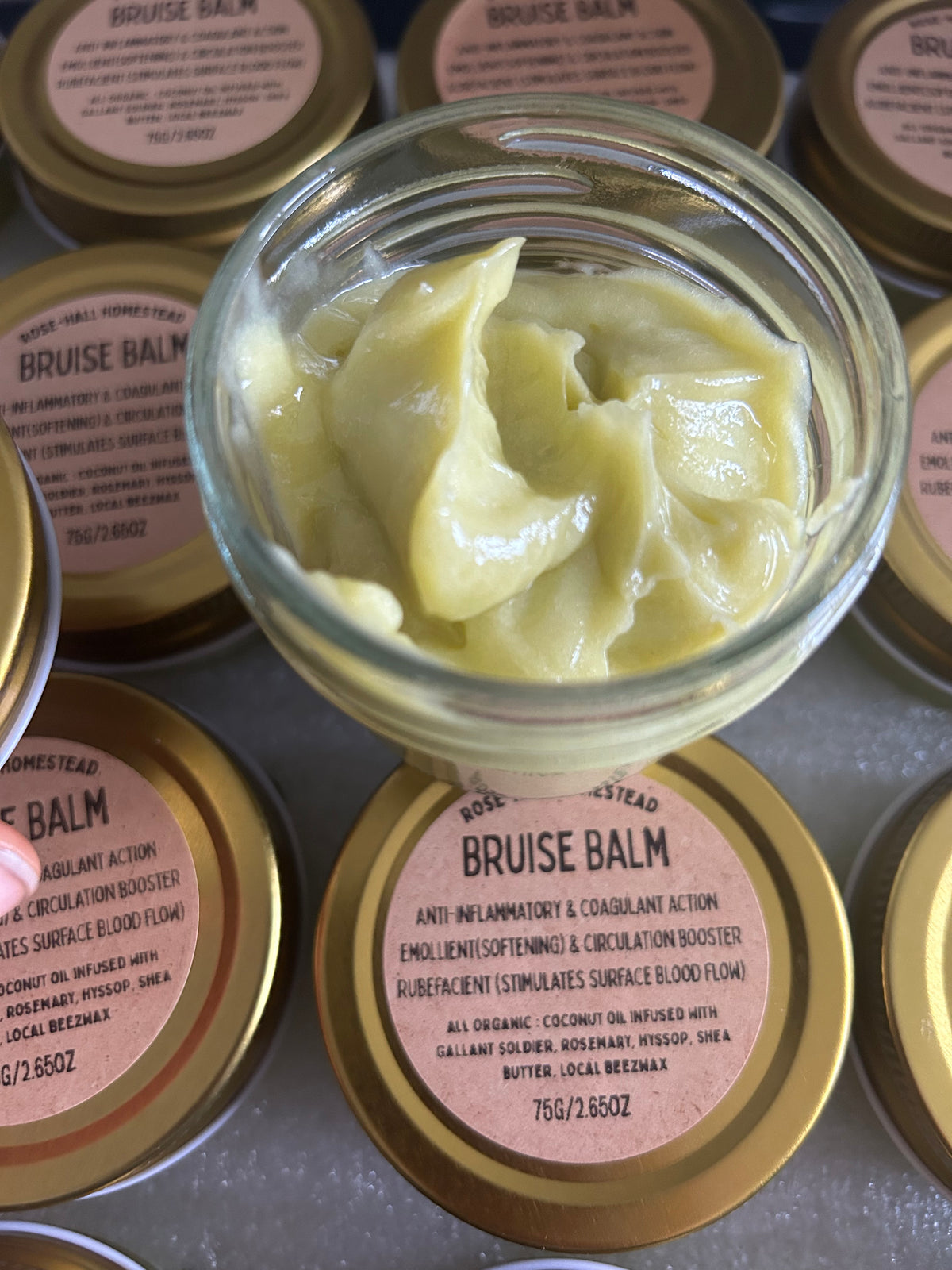 Hyssop Bruise Balm - Rosemary, Gallant Soldier