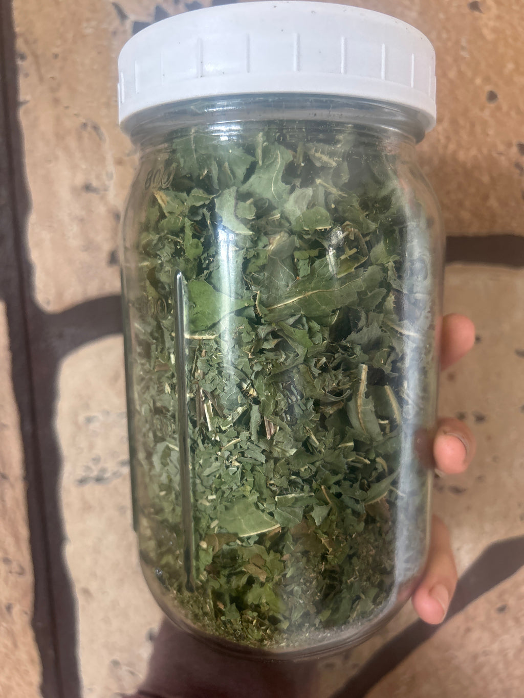 Dried Wild Lettuce