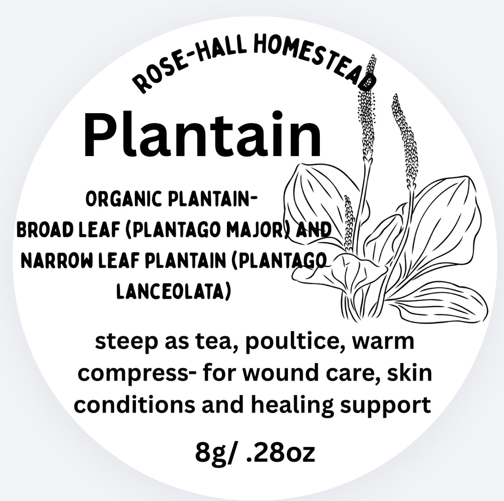 Plantain