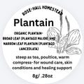 Plantain