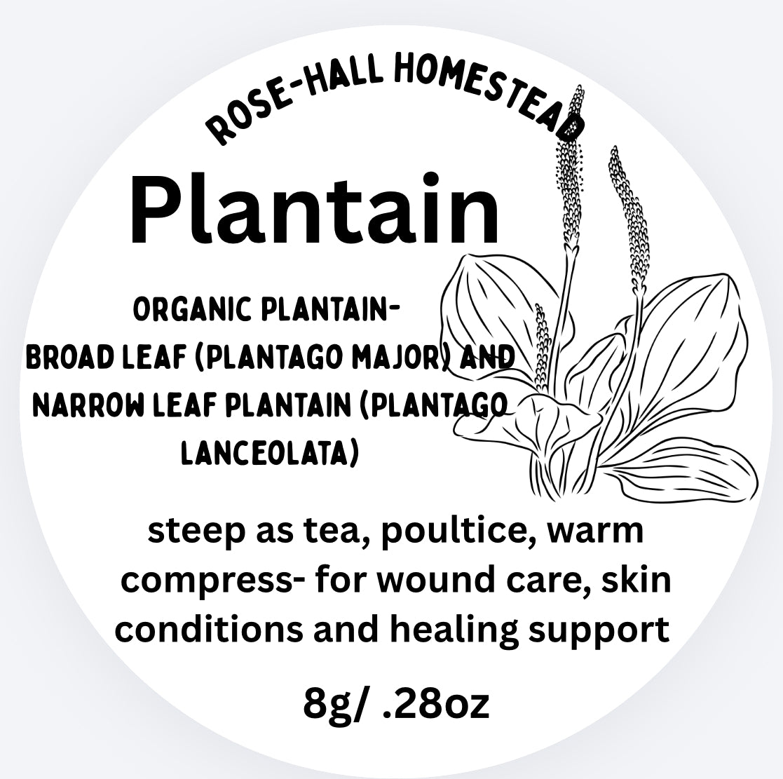 Plantain