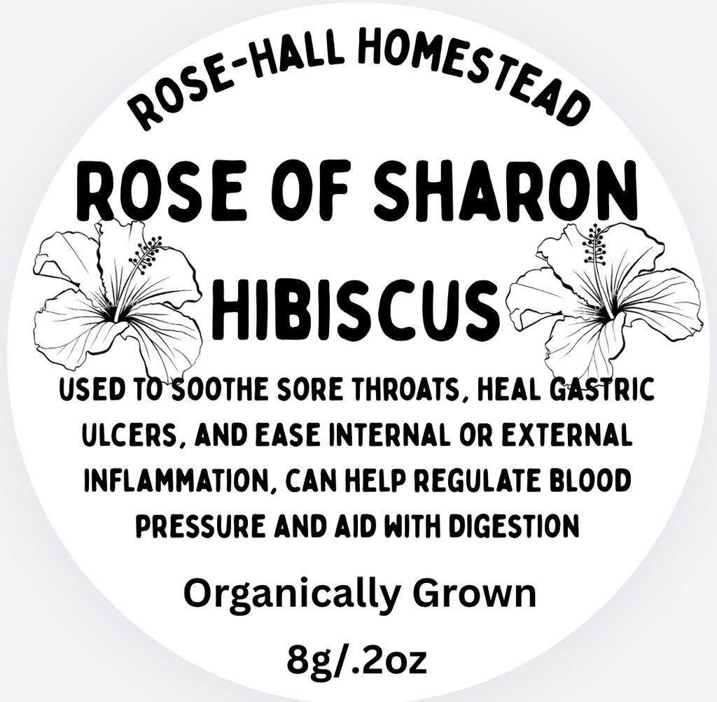 Rose of Sharon Hibiscus
