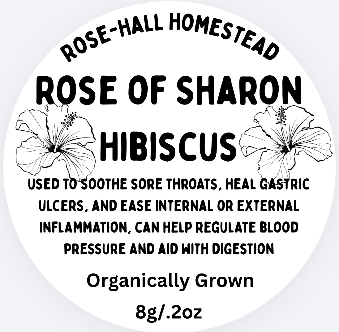 Rose of Sharon Hibiscus