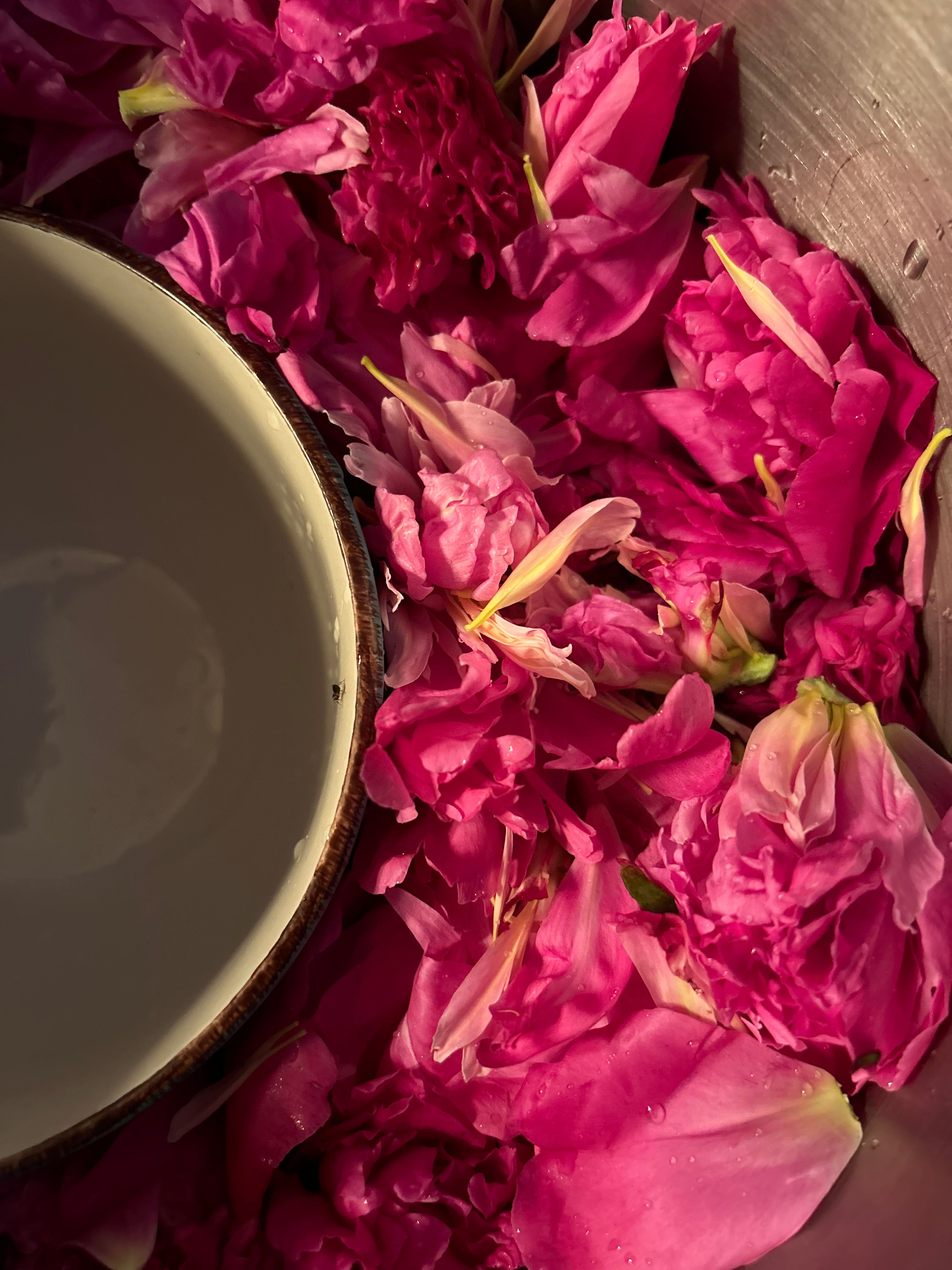 Peony Hydrosol